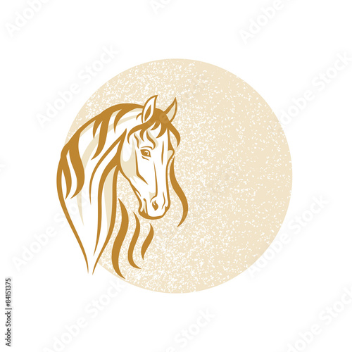 The Horse on the distressed background