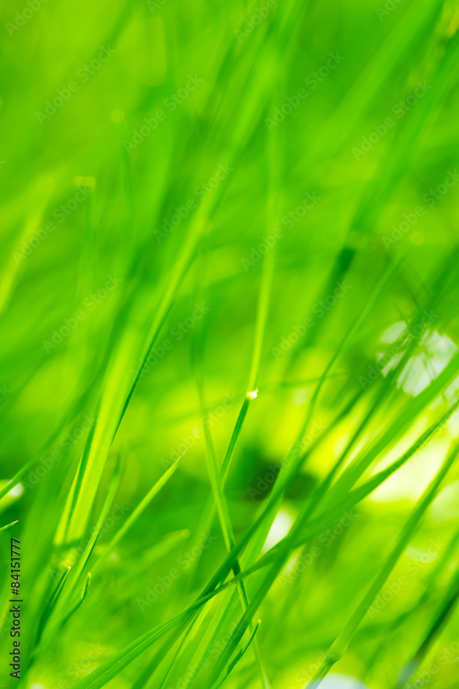 nature background nature background