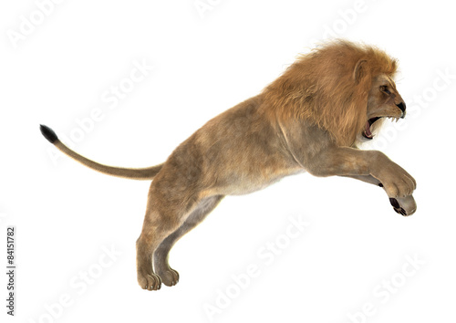 Fototapeta Naklejka Na Ścianę i Meble -  Male Lion