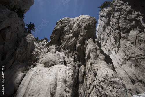 croatian wilderness - bijele stijene © Nino Pavisic