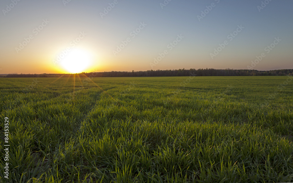 agriculture  