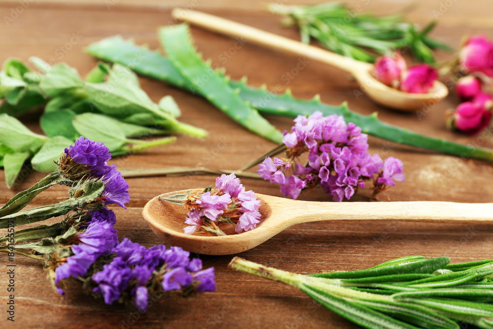 Green herbs and leaves on wooden table, closeup Green herbs and leaves on wooden table, closeup