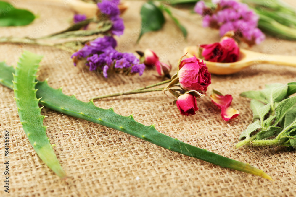 Green herbs and leaves on sackcloth, closeup