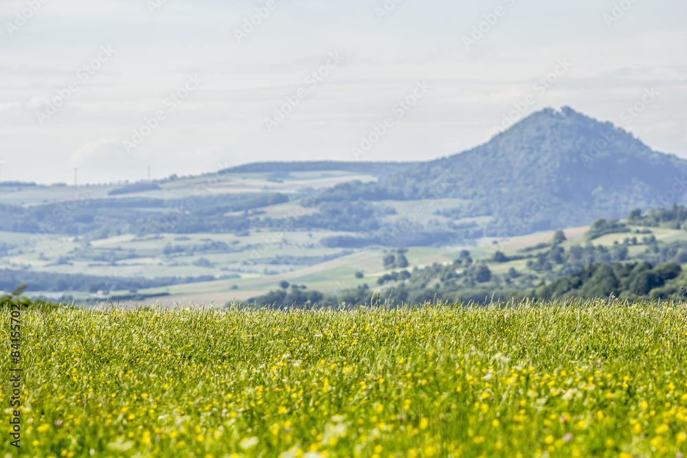 Weide im Hegau