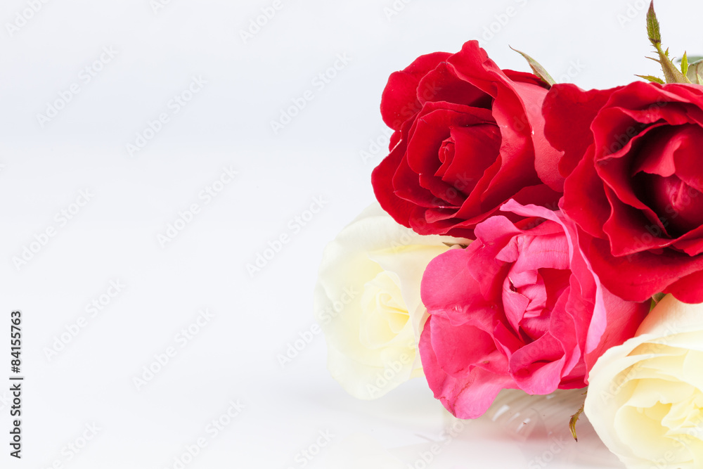 beautiful bouquet roses  on white background
