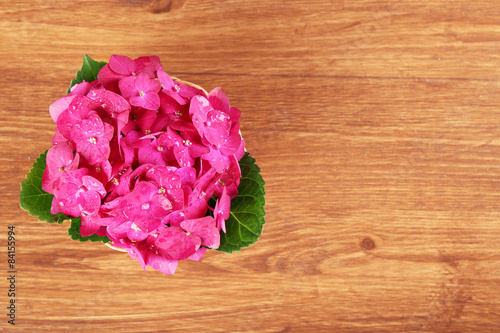 Top view of pink hydrangea on wooden background