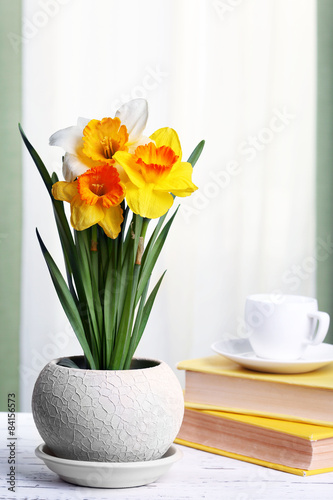 Beautiful daffodils in pot with books on fabric background