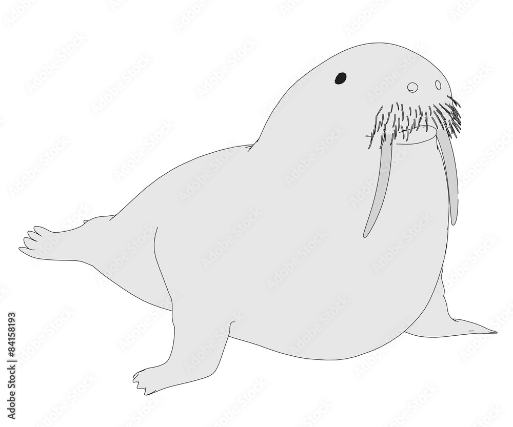 Naklejka premium cartoon image of walrus animal