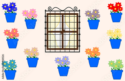 cordoba and the pots with colorful flowers