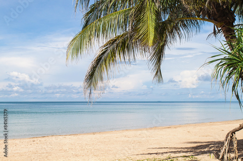 Fototapeta Naklejka Na Ścianę i Meble -  tropical beach with  palm tree