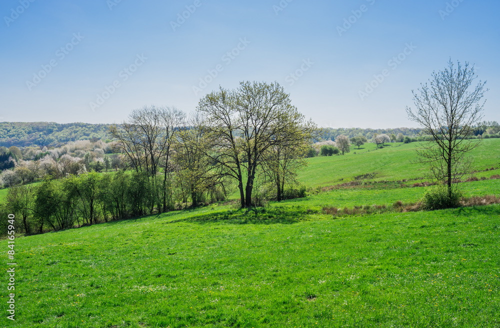 Frühlingslandschaft in Lothringen mit blühenden Obstbäumen Frühlingslandschaft in Lothringen mit blühenden Obstbäumen