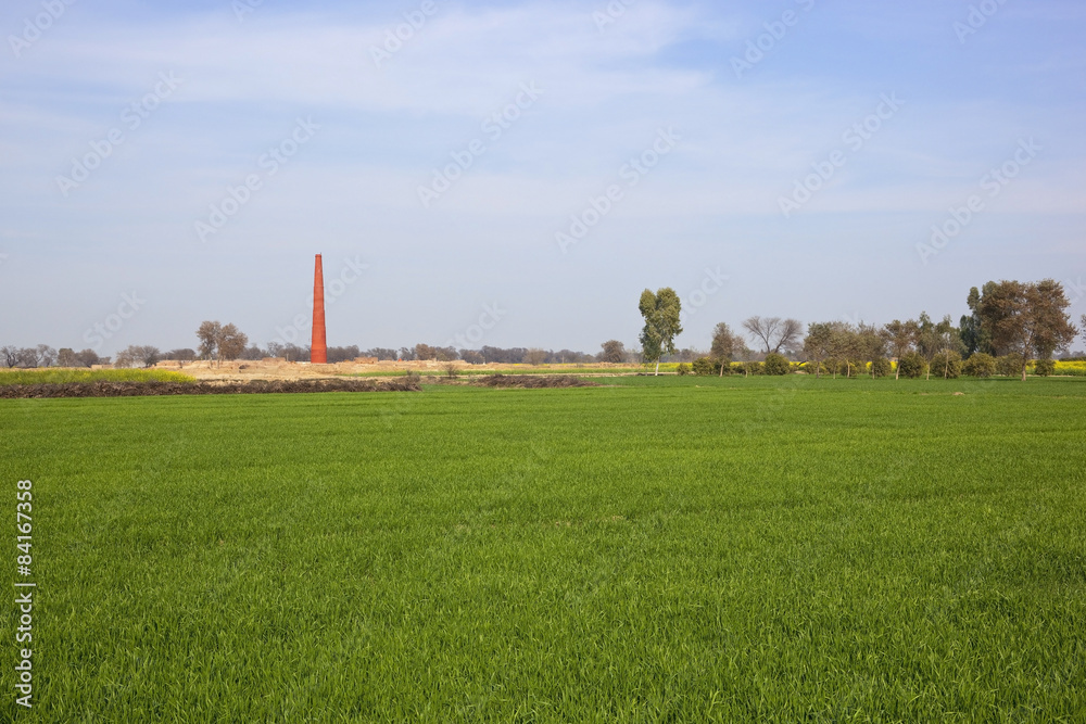 Fototapeta premium punjabi landscape with brickyard