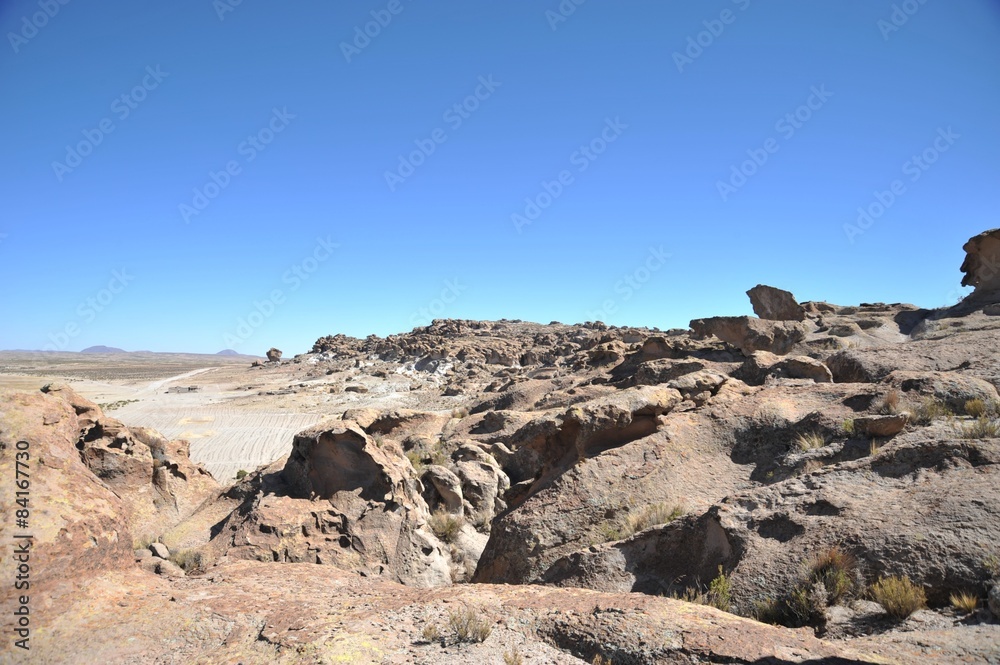 Altiplano. Bolivia Altiplano. Bolivia