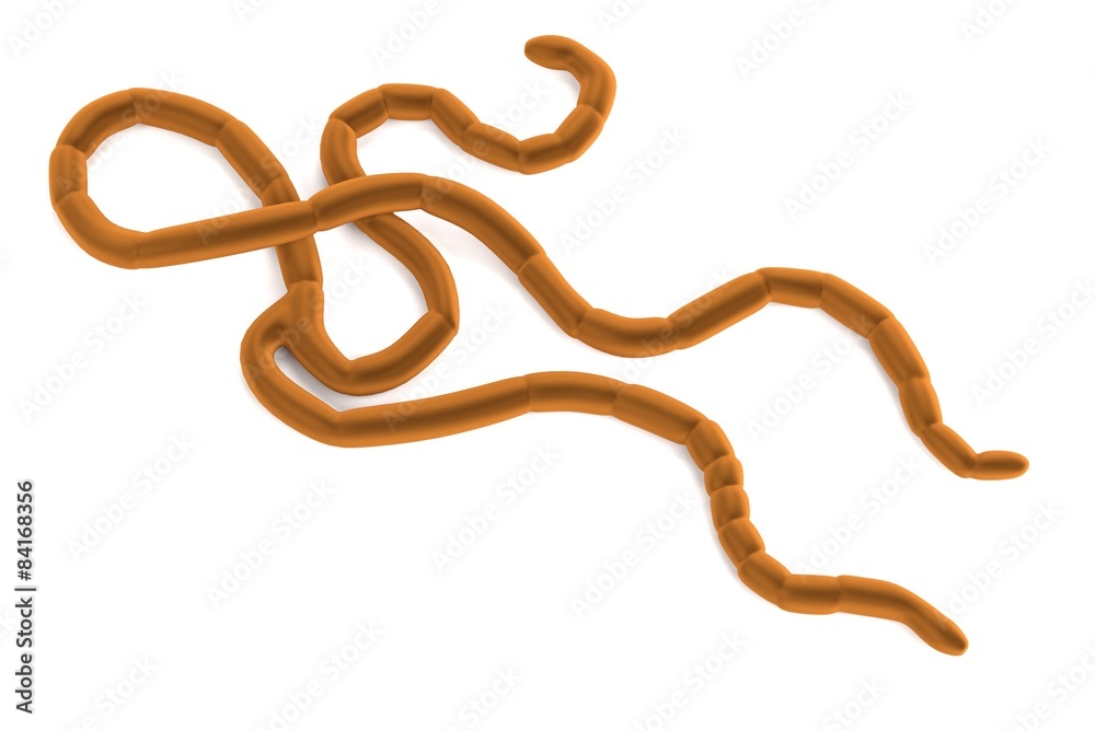 Obraz premium 3d render of Ebola Virus model