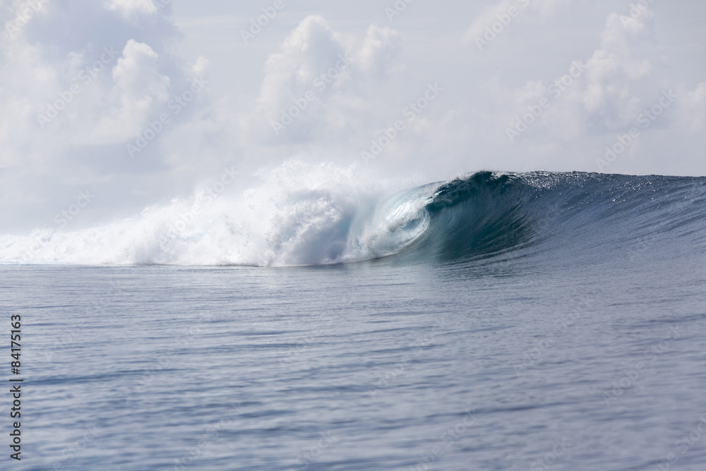 maldive wave 4