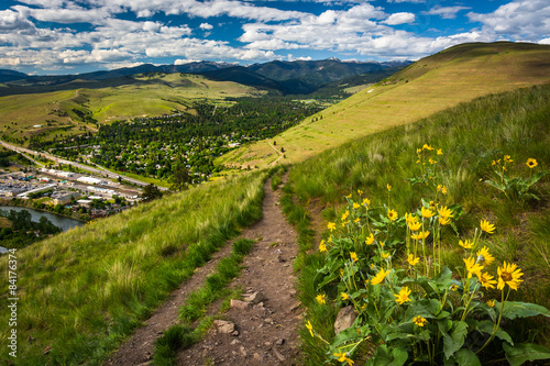 Trail and flowers on Mount Sentinel, in Missoula, Montana. photo