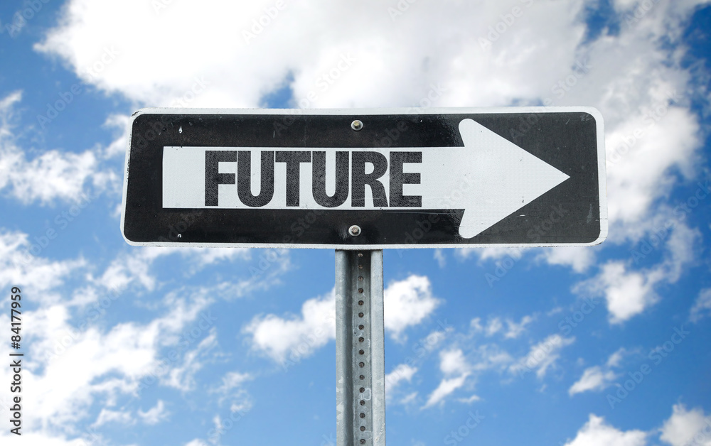 Future direction sign with sky background Future direction sign with sky background