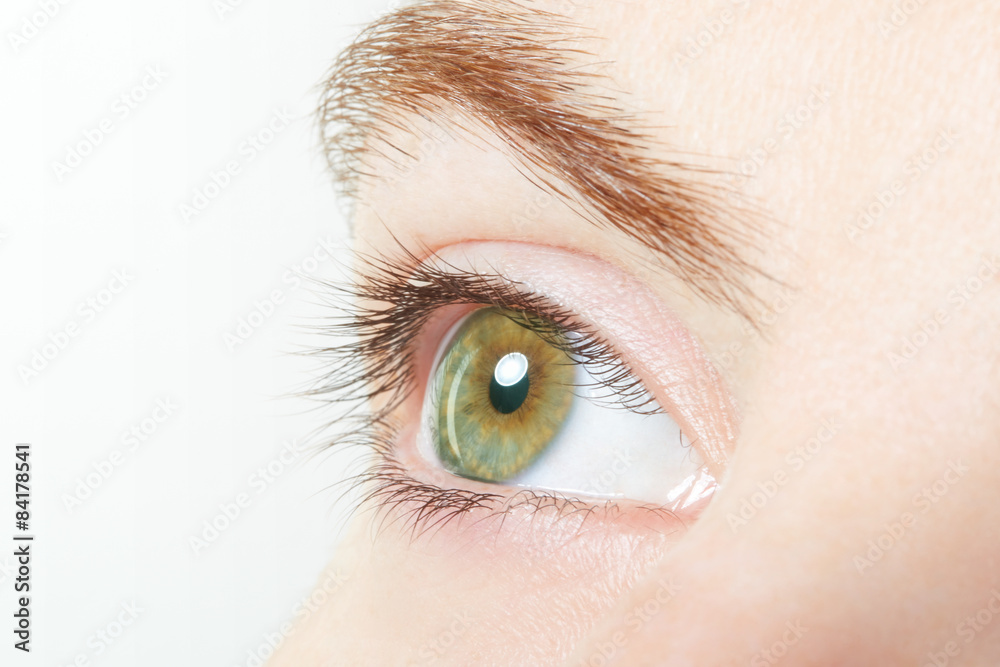 Human, green healthy eye macro with white background Human, green healthy eye macro with white background