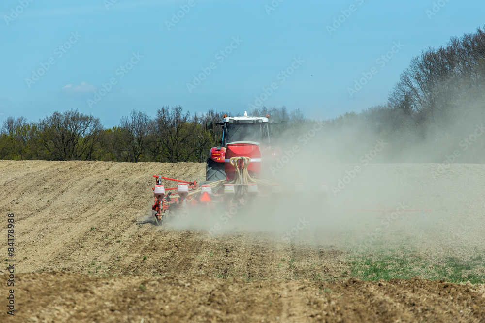 Naklejka premium Sowing the corn