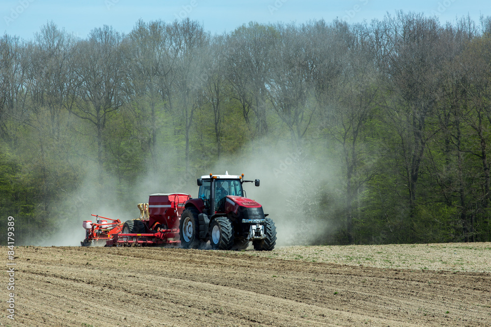 Fototapeta premium Sowing the corn