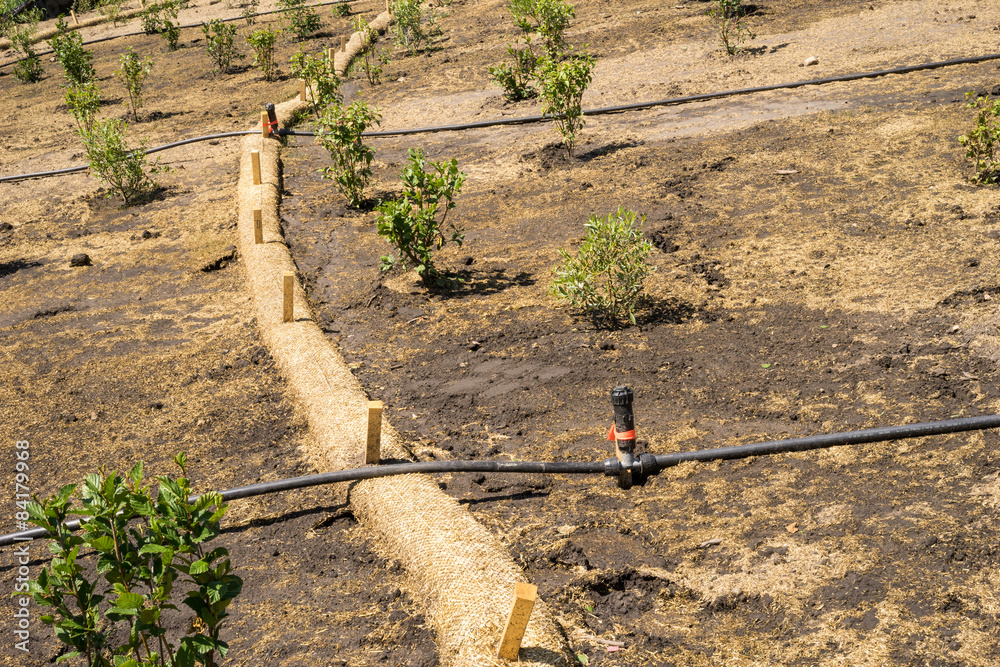 Biodegradable Erosion Control straw sock guard fixed on a slope Stock
