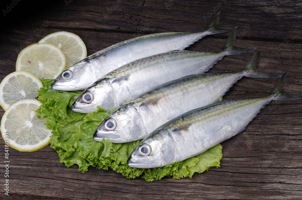 Mackerel Mackerel