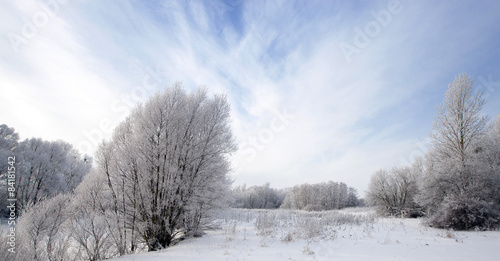 winter forest   © rsooll