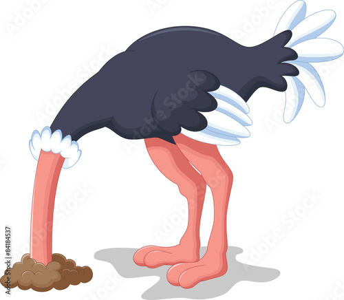Ostrich hides its head in the ground