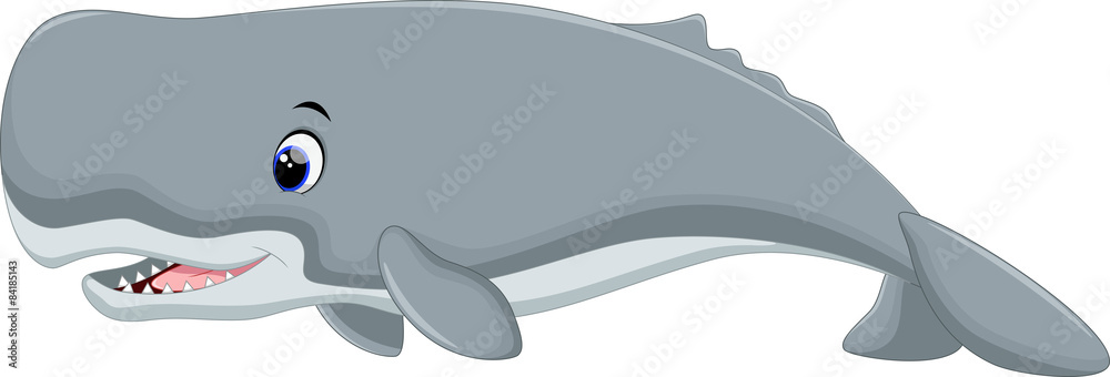 Naklejka premium Cute whale cartoon