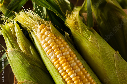 Raw Organic Yellow Seet Corn photo