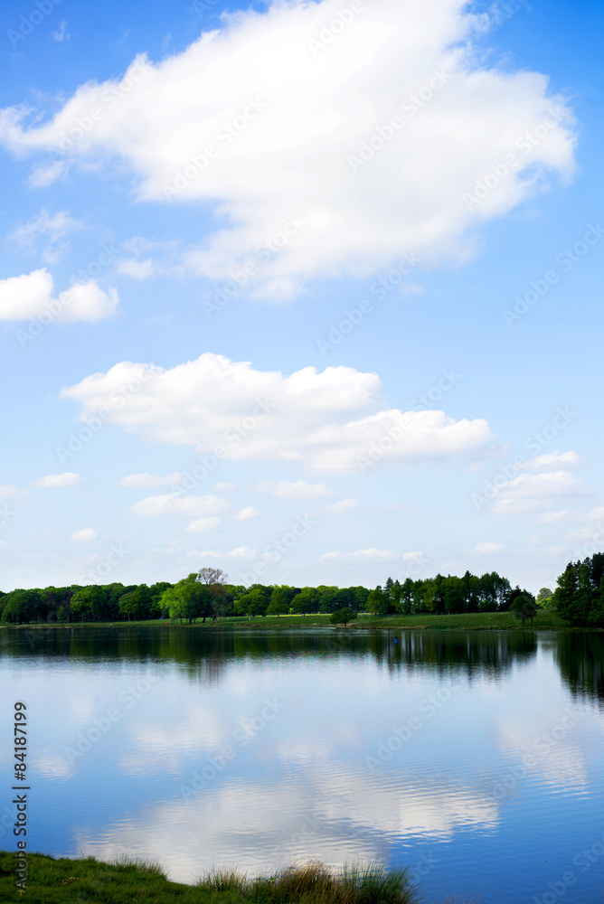 Lake in the Park with Forest on the other shore, Clear blue sky