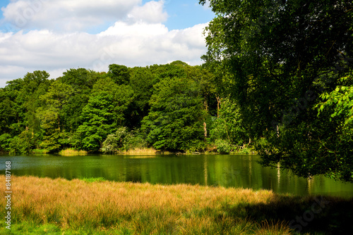 Fototapeta Naklejka Na Ścianę i Meble -  Green Landscape, Lake and Blue Sky in the Park