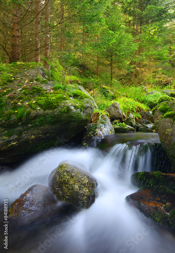 Fototapeta Naklejka Na Ścianę i Meble -  Mountain creek in the national park Sumava-Czech Republic