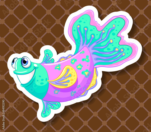 Fancy fish
