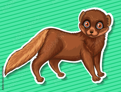 Cute Mynx