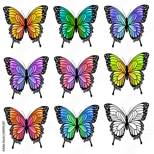 Set of colorful  butterflies