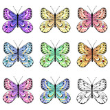 Set of colorful  butterflies