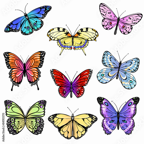 Set of colorful  butterflies