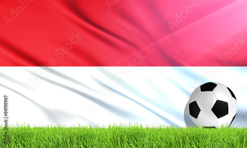 The National Flag of Indonesia