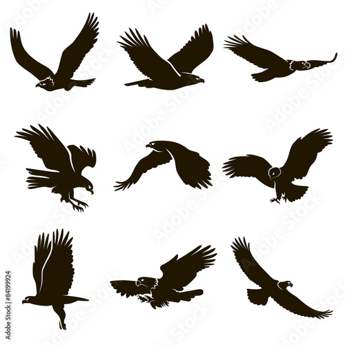 9 icons flying eagles