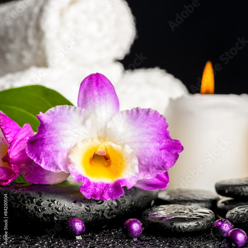 spa background of purple orchid dendrobium  leaf with dew  towel