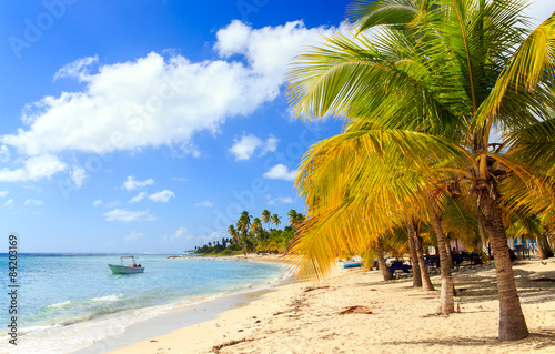 Fototapeta Naklejka Na Ścianę i Meble -  Caribbean beach in Dominican Republic