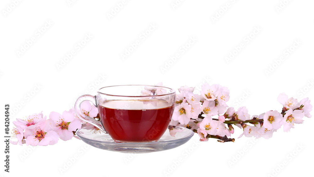 Cup of tea with a sprig of cherry blossoms isolated on white background. Cup of tea with a sprig of cherry blossoms isolated on white background.