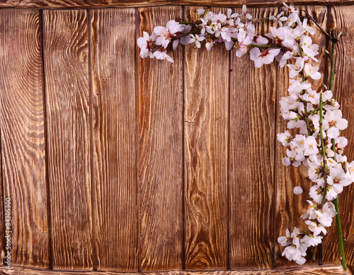 Spring blossom on wood background