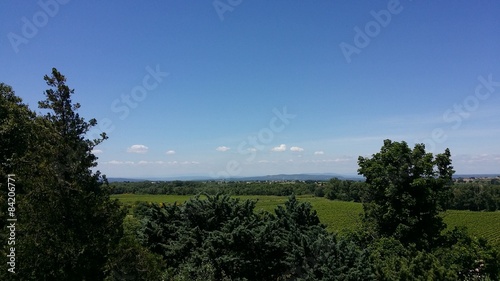 Vue sur les vignes