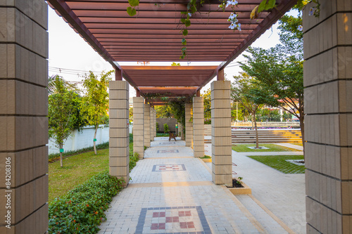 walkway with plant