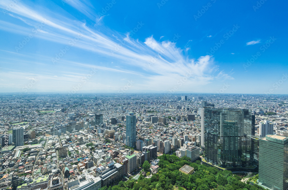 都庁展望室から望む東京の街並み