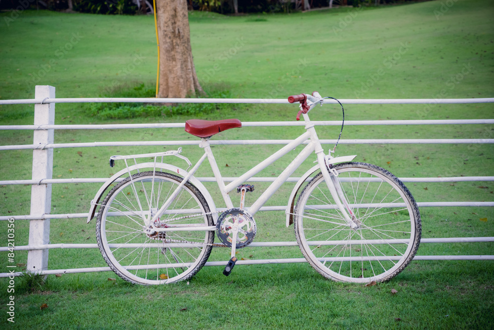 Fototapeta premium old bicycle
