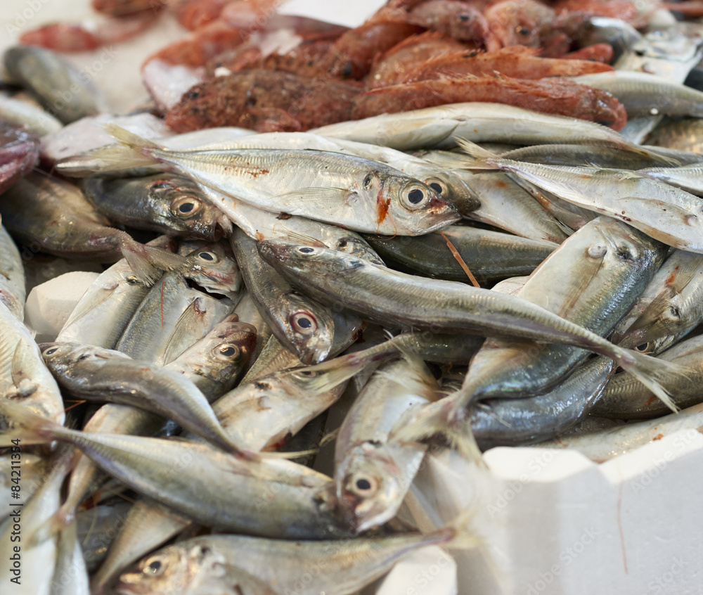 fresh mackerel fresh mackerel