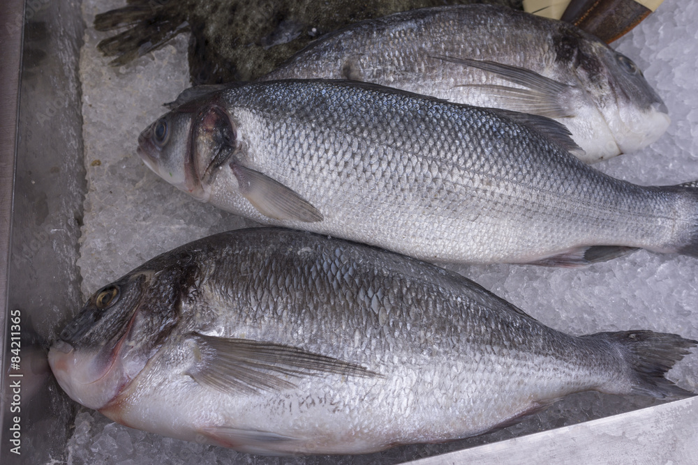 Obraz premium fish on ice